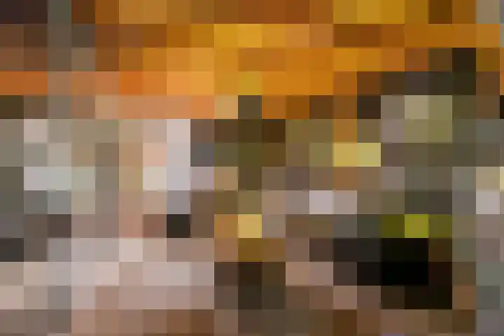 Dahliastraat 23 Gendringen thumbnail 53