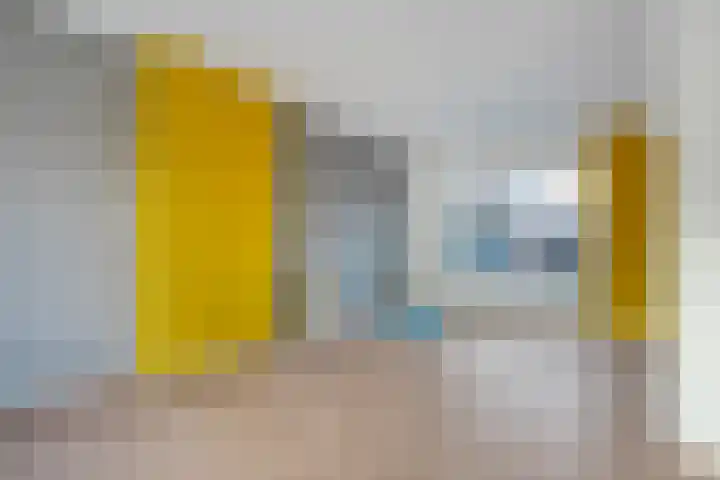 Dahliastraat 23 Olst thumbnail 13