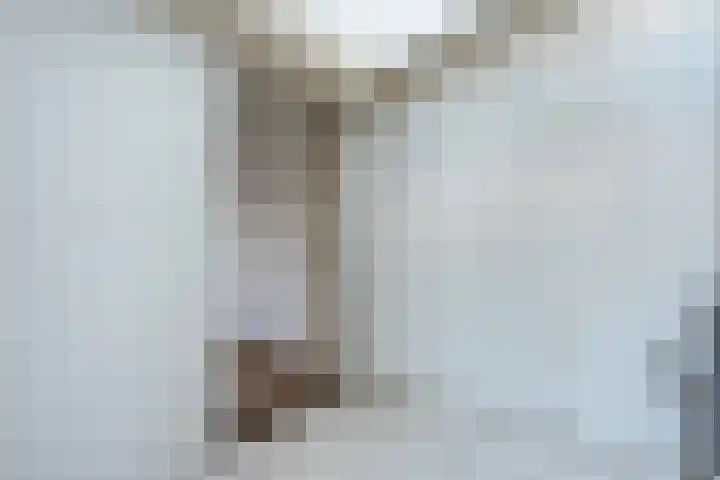 Dahliastraat 23 Olst thumbnail 14
