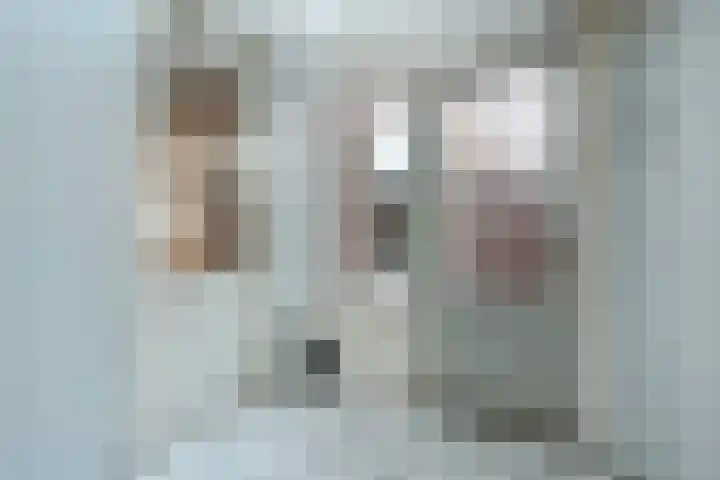 Dahliastraat 23 Olst thumbnail 15
