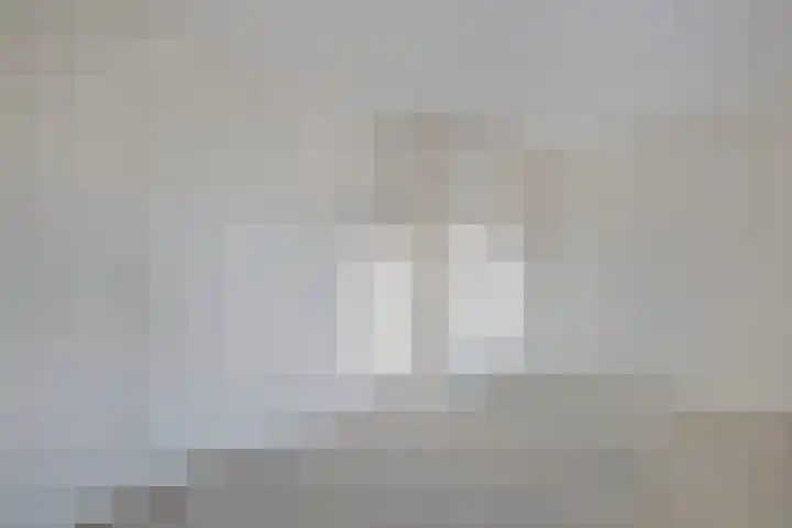 Dahliastraat 23 Olst thumbnail 20