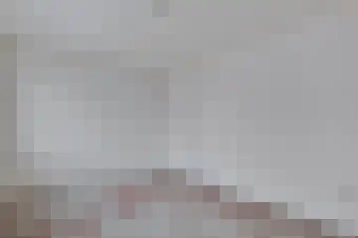 Dahliastraat 23 Olst thumbnail 22