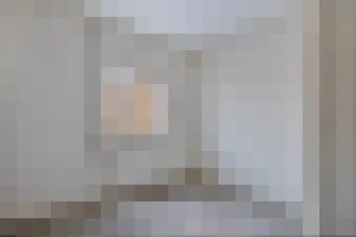 Dahliastraat 23 Olst thumbnail 23