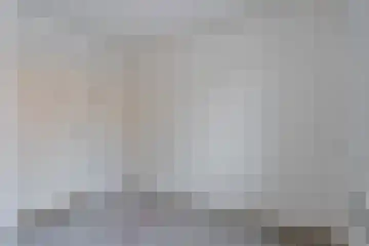 Dahliastraat 23 Olst thumbnail 24