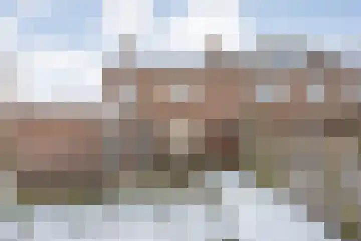 Dahliastraat 23 Olst thumbnail 28