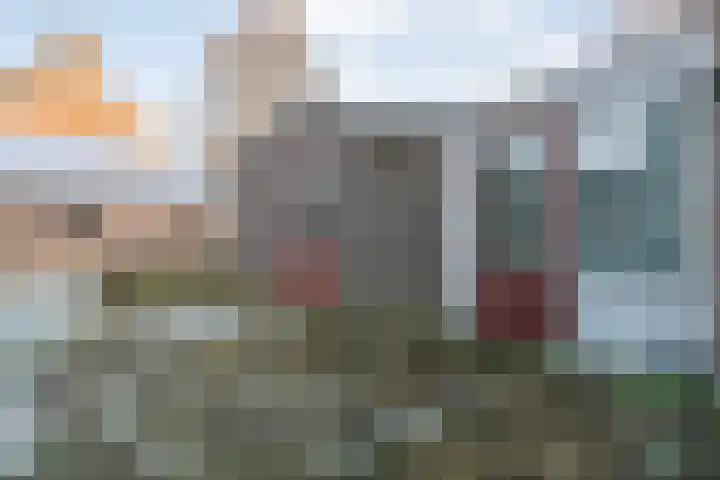 Dahliastraat 23 Olst thumbnail 29