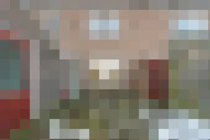 Dahliastraat 23 Olst thumbnail 30