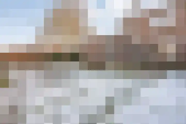 Dahliastraat 23 Olst thumbnail 31