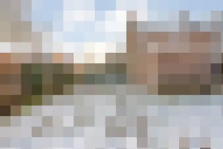 Dahliastraat 23 Olst thumbnail 32