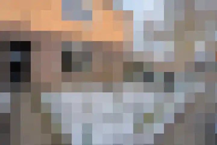 Dahliastraat 23 Olst thumbnail 4