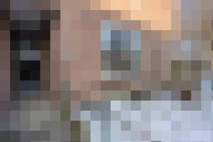 Dahliastraat 23 Olst thumbnail 5