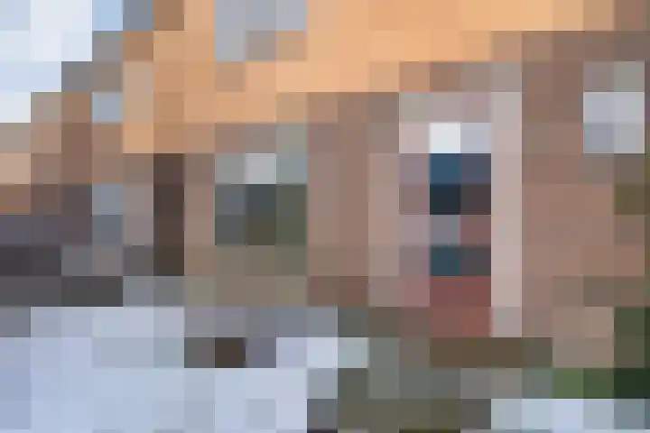 Dahliastraat 23 Olst thumbnail 6