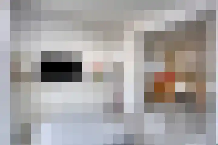 Dahliastraat 23 Rhenen thumbnail 16
