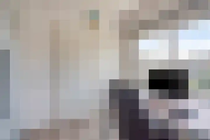 Dahliastraat 23 Rhenen thumbnail 30