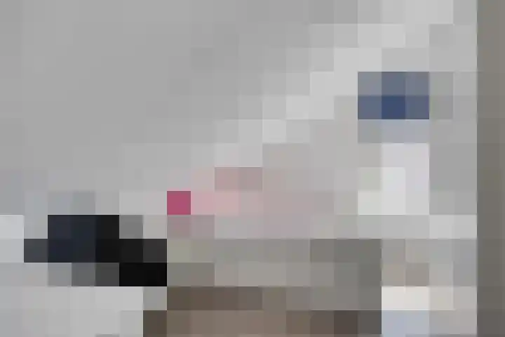 Dahliastraat 23 Rhenen thumbnail 33