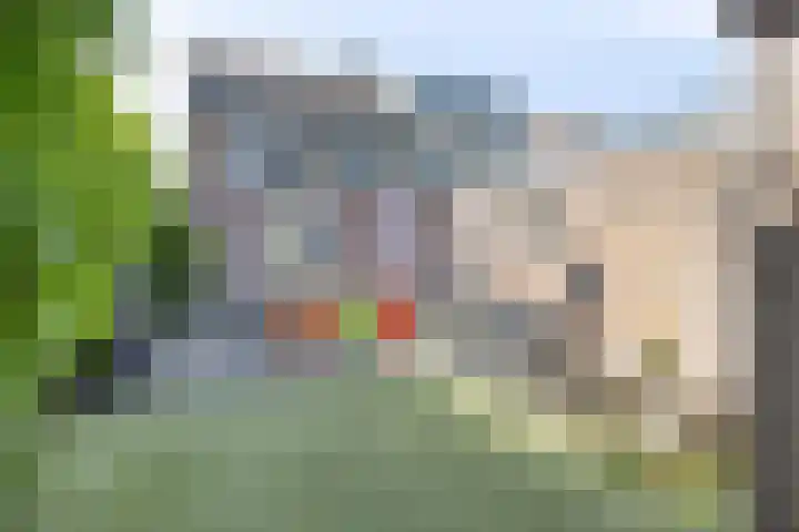 Dahliastraat 23 Rhenen thumbnail 5