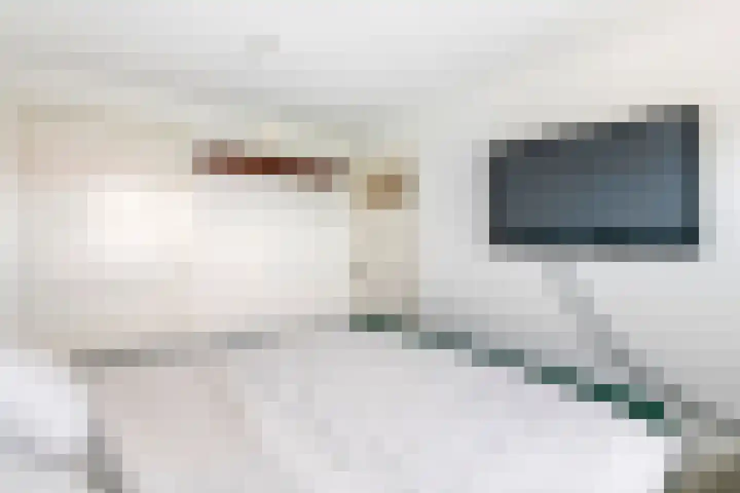 Dahliastraat 23 Tiel thumbnail 24