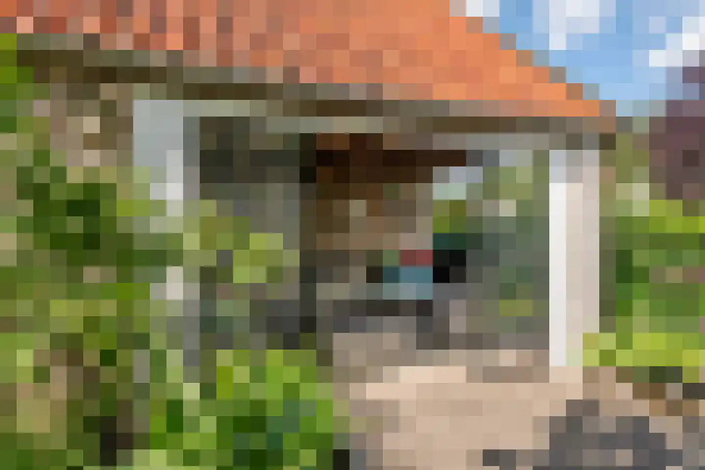 Dahliastraat 23 Tiel thumbnail 36