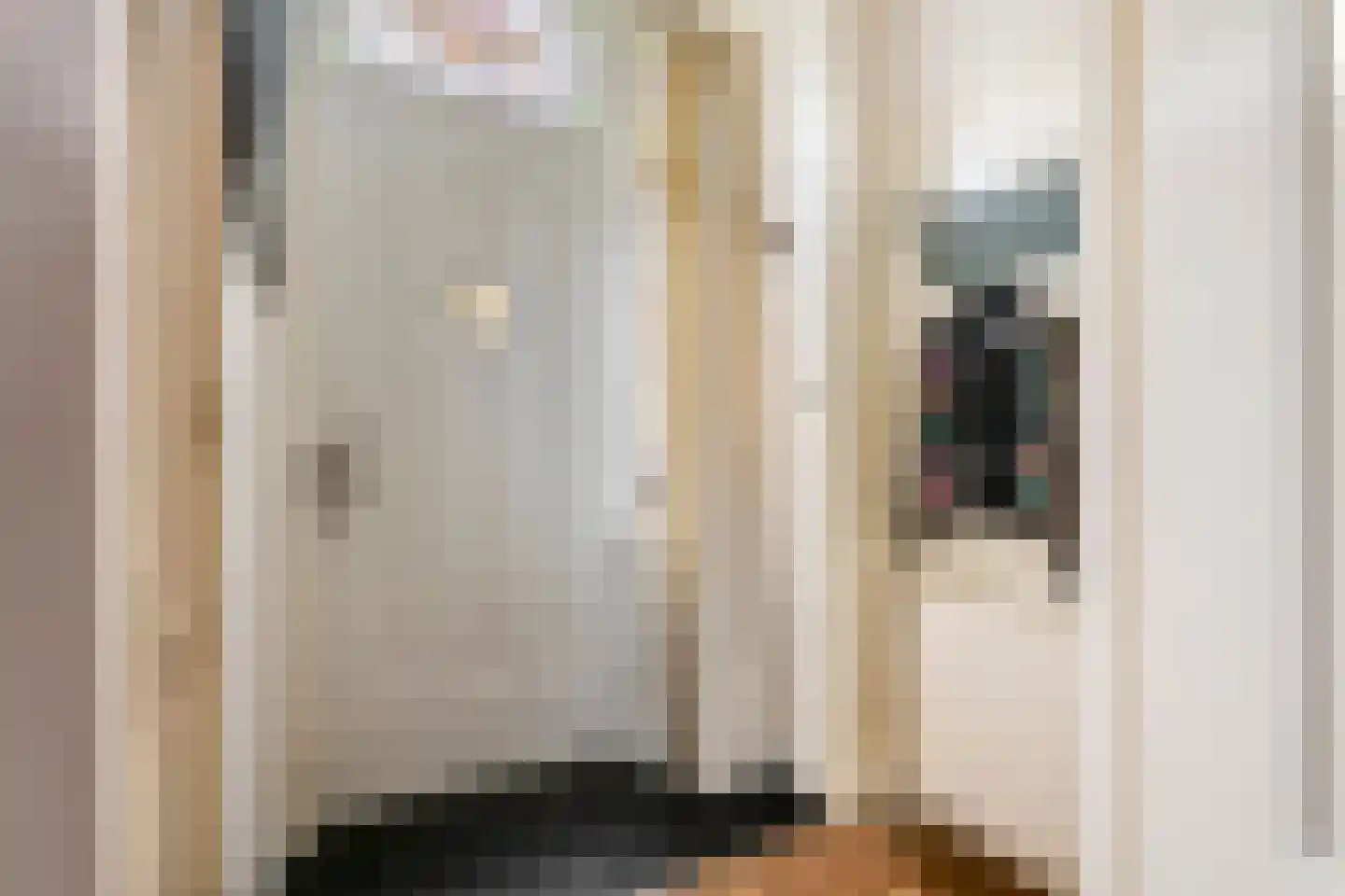 Dahliastraat 23 Tiel thumbnail 4
