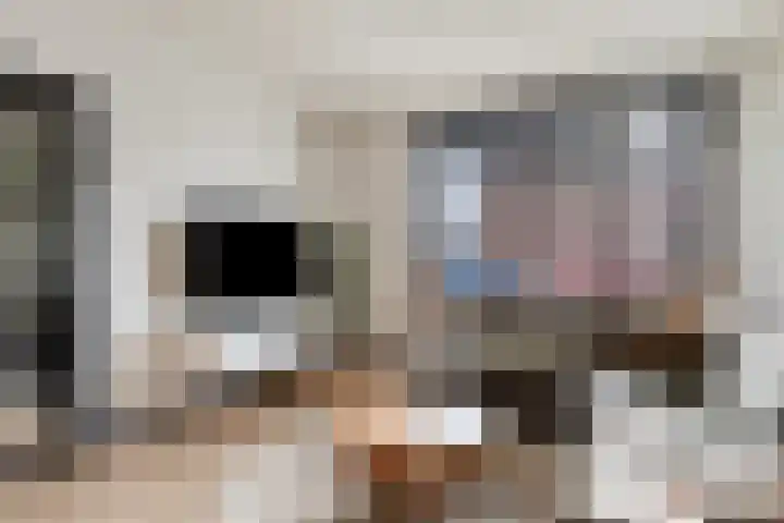 Dahliastraat 23 Winschoten thumbnail 15