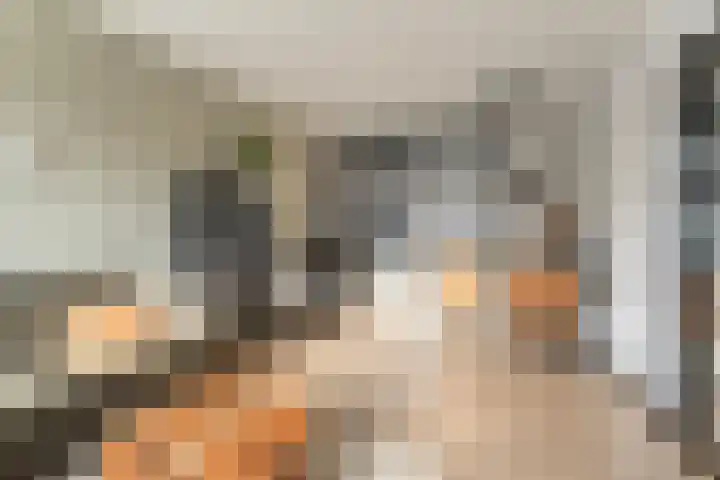 Dahliastraat 23 Winschoten thumbnail 16
