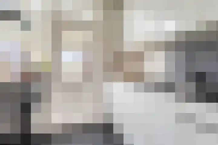 Dahliastraat 23 Winschoten thumbnail 19