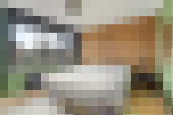 Dahliastraat 23 Winschoten thumbnail 23
