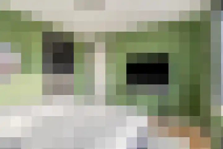 Dahliastraat 23 Winschoten thumbnail 24