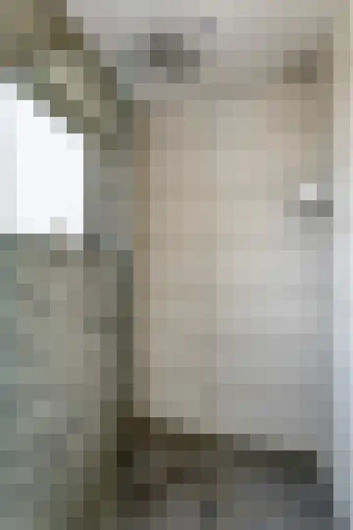 Dahliastraat 23 Winschoten thumbnail 30