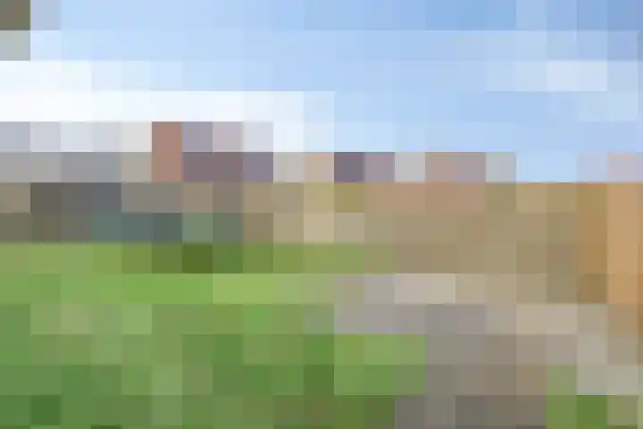 Dahliastraat 23 Winschoten thumbnail 33