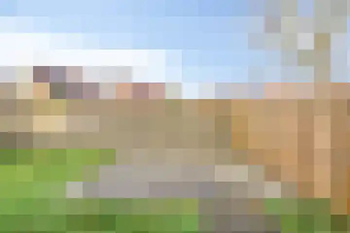 Dahliastraat 23 Winschoten thumbnail 34