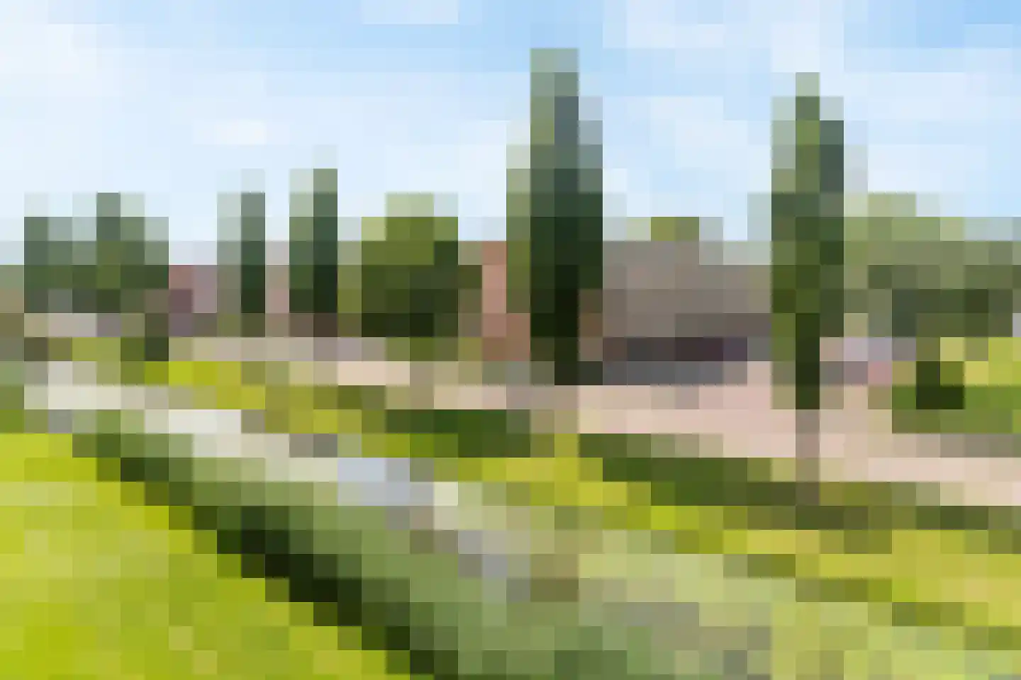 Dahliastraat 236 Zwijndrecht thumbnail 17