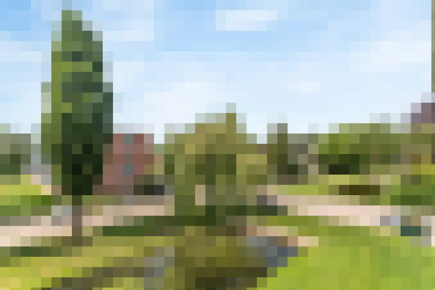 Dahliastraat 236 Zwijndrecht thumbnail 18