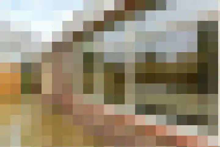 Dahliastraat 24 Hoogeveen thumbnail 11