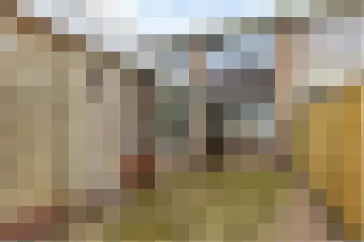 Dahliastraat 24 Hoogeveen thumbnail 12
