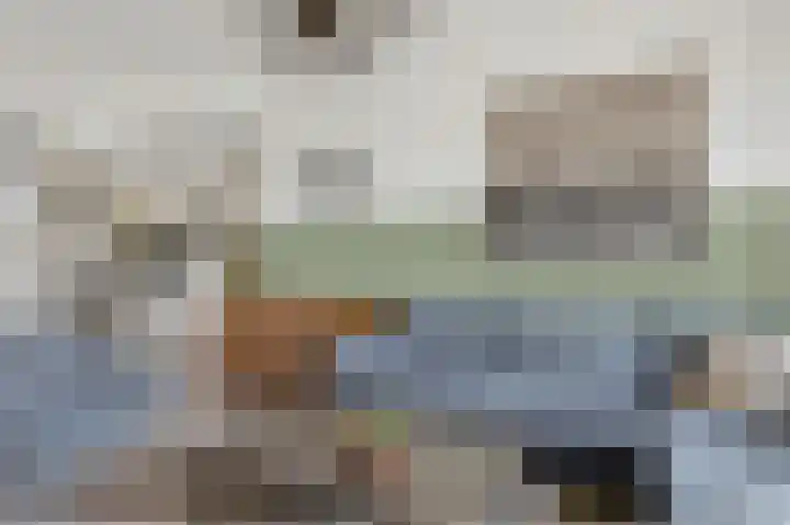 Dahliastraat 24 Hoogeveen thumbnail 6