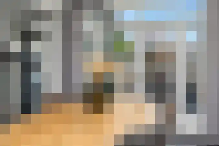 Dahliastraat 24 Hoogkarspel thumbnail 16