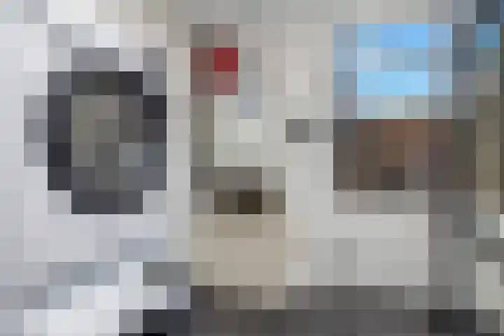 Dahliastraat 24 Hoogkarspel thumbnail 17