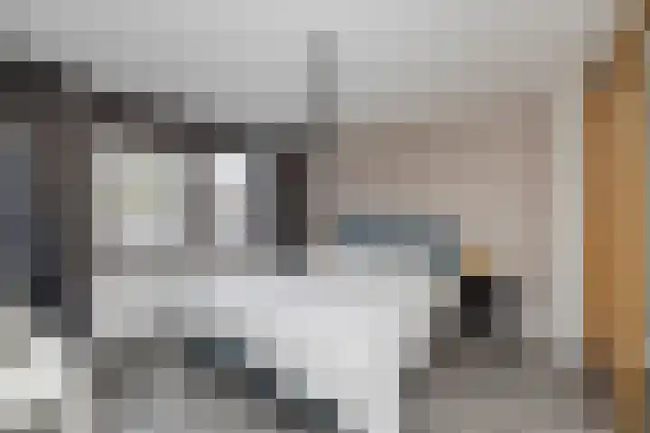 Dahliastraat 24 Hoogkarspel thumbnail 19
