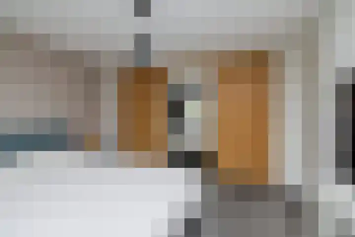 Dahliastraat 24 Hoogkarspel thumbnail 21