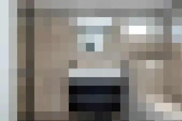Dahliastraat 24 Hoogkarspel thumbnail 22