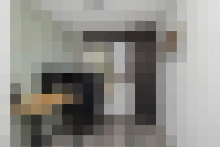 Dahliastraat 24 Hoogkarspel thumbnail 24
