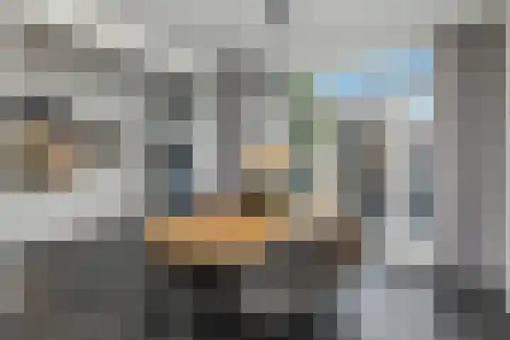 Dahliastraat 24 Hoogkarspel thumbnail 4