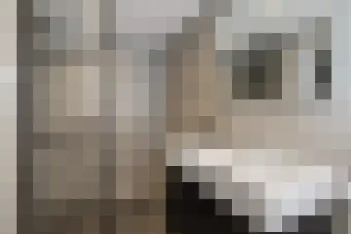 Dahliastraat 24 Hoogkarspel thumbnail 5