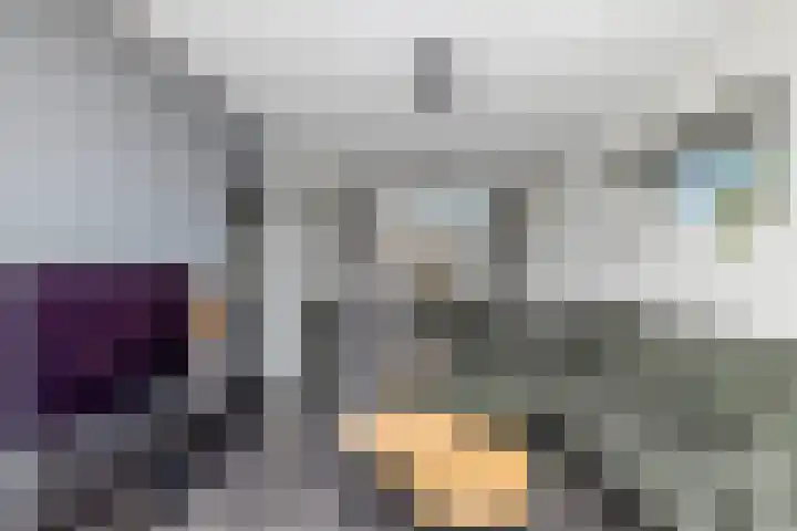Dahliastraat 24 Hoogkarspel thumbnail 6