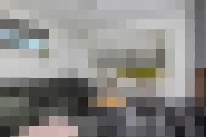 Dahliastraat 24 Hoogkarspel thumbnail 7