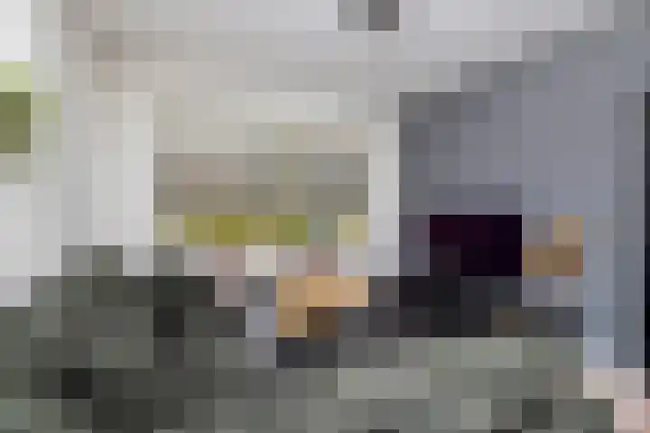 Dahliastraat 24 Hoogkarspel thumbnail 8