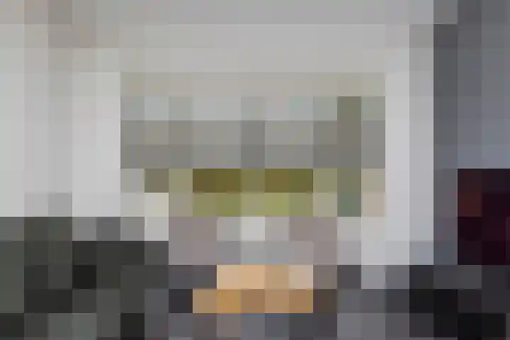 Dahliastraat 24 Hoogkarspel thumbnail 9