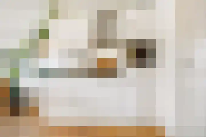 Dahliastraat 25 A Utrecht thumbnail 6