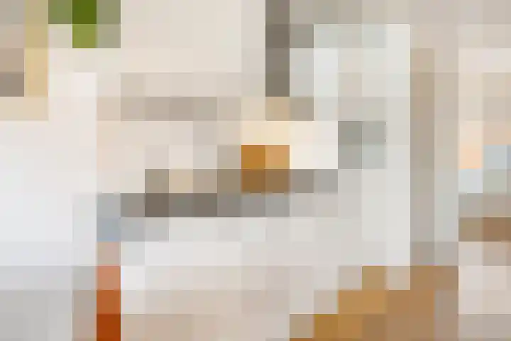 Dahliastraat 25 A Utrecht thumbnail 7